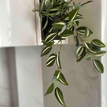 Apartman Mona *